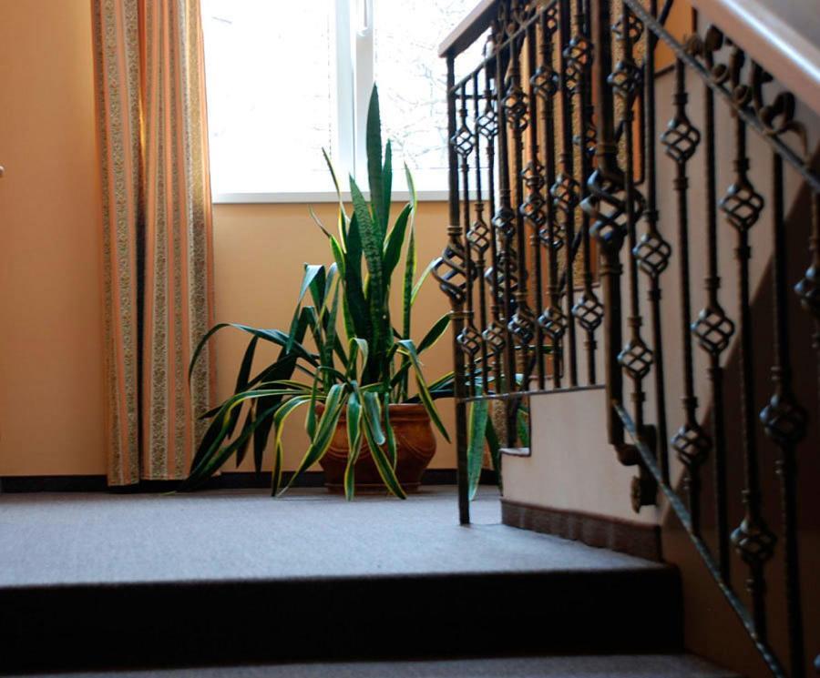 D'Angelo Hotel Prague Luaran gambar